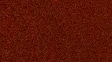 Las brasas caen mientras el incendio Creek se expande el 8 de septiembre de 2020 cerca de Shaver Lake, California.