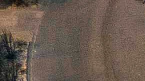 Vecindario destruido en Phoenix, Oregon.