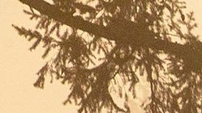 Se han registrado 33 muertes como consecuencia de los incendios.