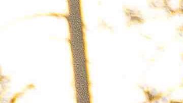 El North Complex Fire ha arrasado con más de 304,000 acres.