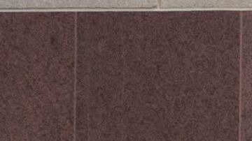 Elecciones Estados Unidos