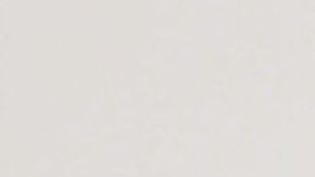 María Celeste Arrarás será la invitada especial en Despierta América.