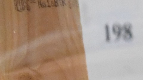 Las elecciones de 2020 han sido afectadas por la pandemia del coronavirus.