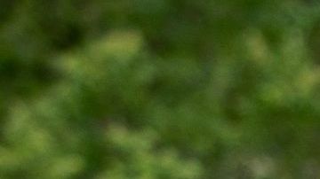 Adam Hollingsworth se enfrenta a varios cargos.