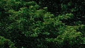 Un mural a la memoria de Breonna Taylor, asesinada por la Policía.