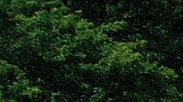 Un mural a la memoria de Breonna Taylor, asesinada por la Policía.