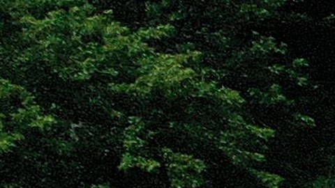 Un mural a la memoria de Breonna Taylor, asesinada por la Policía.