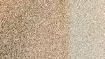 AMLO y Donald Trump antes de la cena.