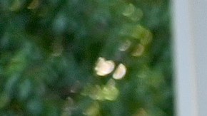 NEW YORK - JULY 27: An outdoor dining area is seen as the city continues Phase 4 of re-opening following restrictions imposed to slow the spread of coronavirus on July 27, 2020 in New York City. Many restaurants have built outdoor seating on the streets in order to allow for social distancing between patrons. The fourth phase allows outdoor arts and entertainment, sporting events without fans and media production. (Photo by Jamie McCarthy/Getty Images)