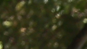 El precio del combustible durante el fin de semana del Día del Trabajo el más bajo desde 2004