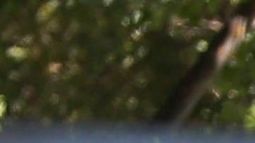 El precio del combustible durante el fin de semana del Día del Trabajo el más bajo desde 2004