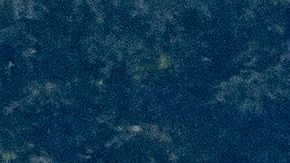 Trump desgrava impuestos al declarar como gastos comerciales su lujosos estilo de vida.