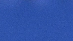 El presidente Trump pidió a grupos extremistas dejar a la Policía hacer su trabajo.