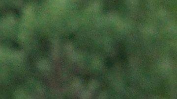 MacKenzie Scott la mujer más rica del planeta