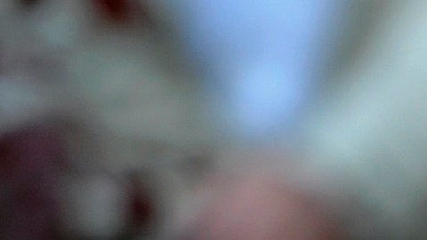 Joaquín Salvador Lavado Quino