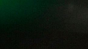 El Congreso detecta un fraude de más de $1,000 millones de dólares en préstamos PPP