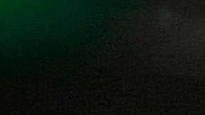 El Congreso detecta un fraude de más de $1,000 millones de dólares en préstamos PPP