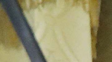 La madre de Franco Salas murió por coronavirus el 1 de septiembre.