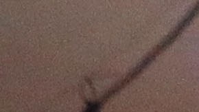 El 3 de noviembre es la elección general.