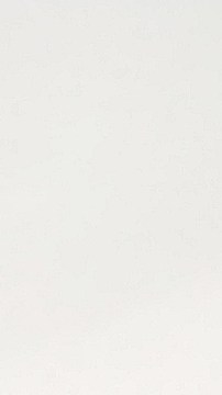 Adriana Silva curadora Arte al Paso