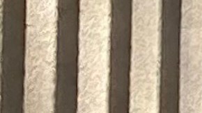 El defensor del pueblo, varios legisladores y activistas frente al llamado “el edificio más rico del mundo”, en Park Avenue.