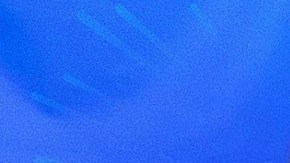 Ana Brenda Contreras