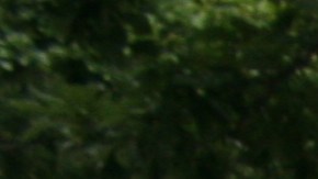 Memorial 9/11, Bajo Manhattan, NYC.