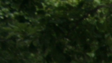 Memorial 9/11, Bajo Manhattan, NYC.