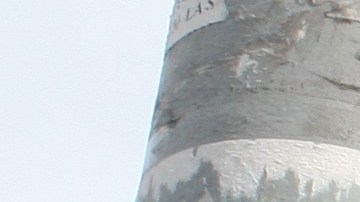 Miguel Salazar estuvo 21 días intubado en el Hospital Bellevue.