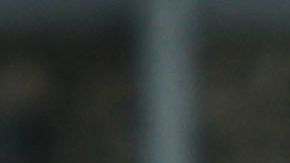 Norma Palafox pone ambiente en el equipo.