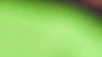 Aldo Rocha anotó el autogol.