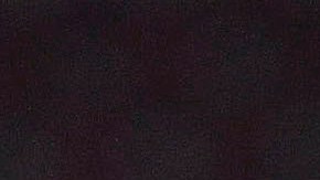 Las Águilas saltaron a la lucieron una camiseta especial.