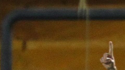 Chivas ya suma 11 puntos en el torneo.