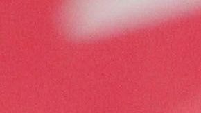 Norma Palafox dedicó el gol a su madre fallecida.