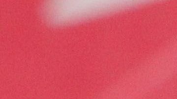 Norma Palafox dedicó el gol a su madre fallecida.