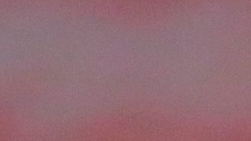 Raúl Gudiño sería el sustituto de Rodríguez.