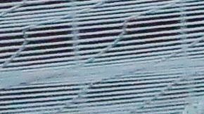 Toño Rodríguez fue reprobado por la afición.