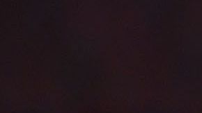 América sigue peleando en lo alto de la tabla.