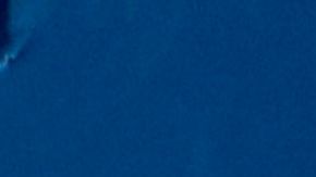 Jueza muerte Djokovic