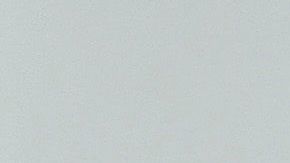 Miley Cyrus ama a los caninos.