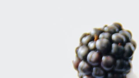 moras