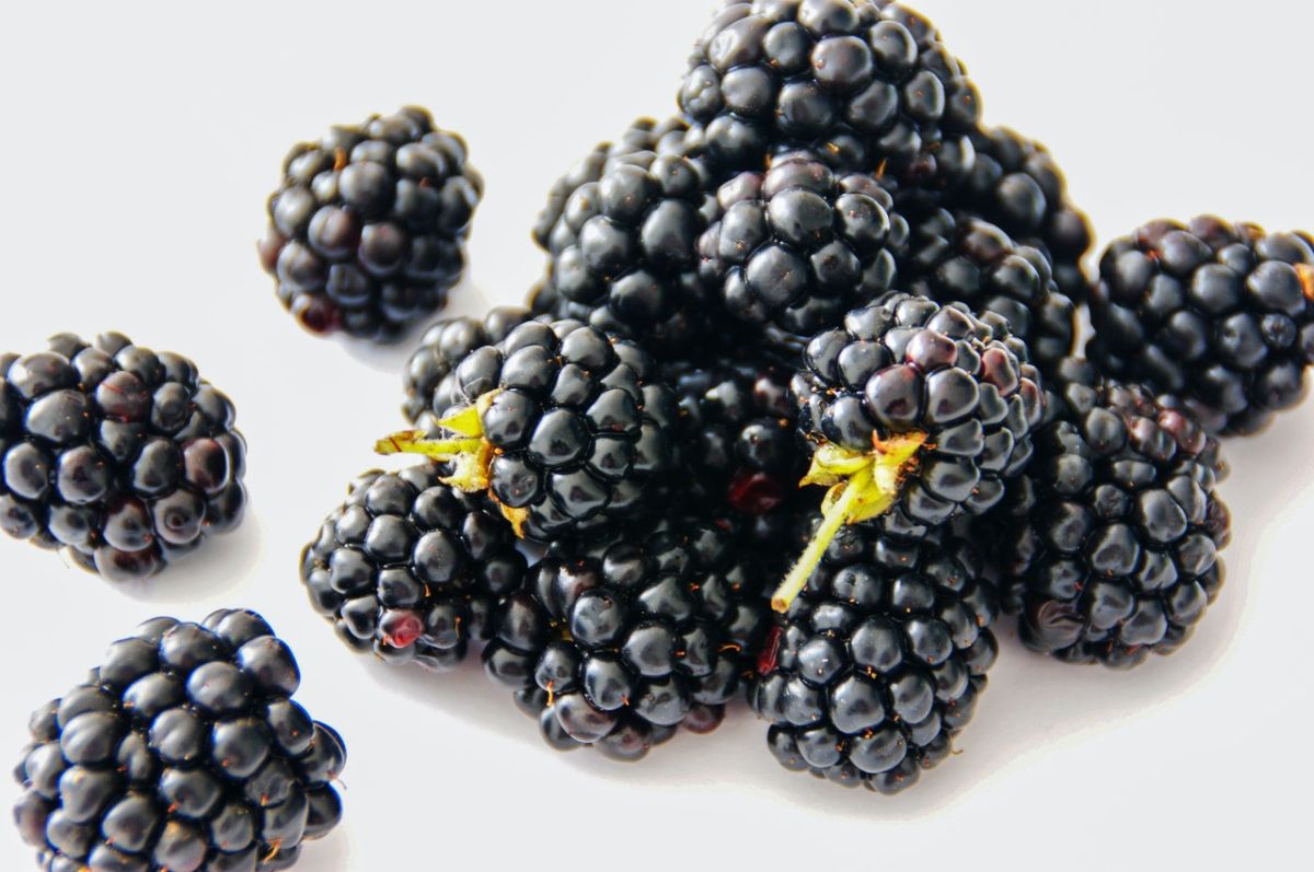 moras