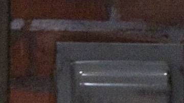 Manuel "El Loco" Valdés.