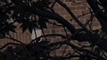 Ahora más que nunca, con el coronavirus, se está instando a todos los neoyorquinos a no quedarse sin un seguro médico.