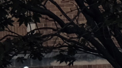 Ahora más que nunca, con el coronavirus, se está instando a todos los neoyorquinos a no quedarse sin un seguro médico.