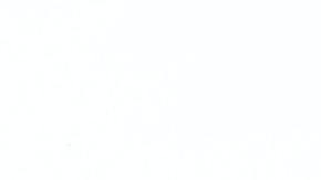 Papas McDonalds- Polina Tankilevitch en Pexels