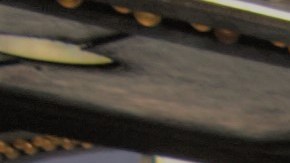 La dominicana Patricia Marrero exige que no se de ni un paso atrás a la desinfección del Subway.