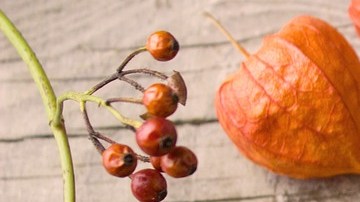 La quinoa es un buen sustituto del arroz; aporta proteína completa y fibra.