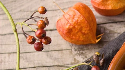 La quinoa es un buen sustituto del arroz; aporta proteína completa y fibra.