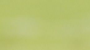 Ryan Fitzpatrick Miami